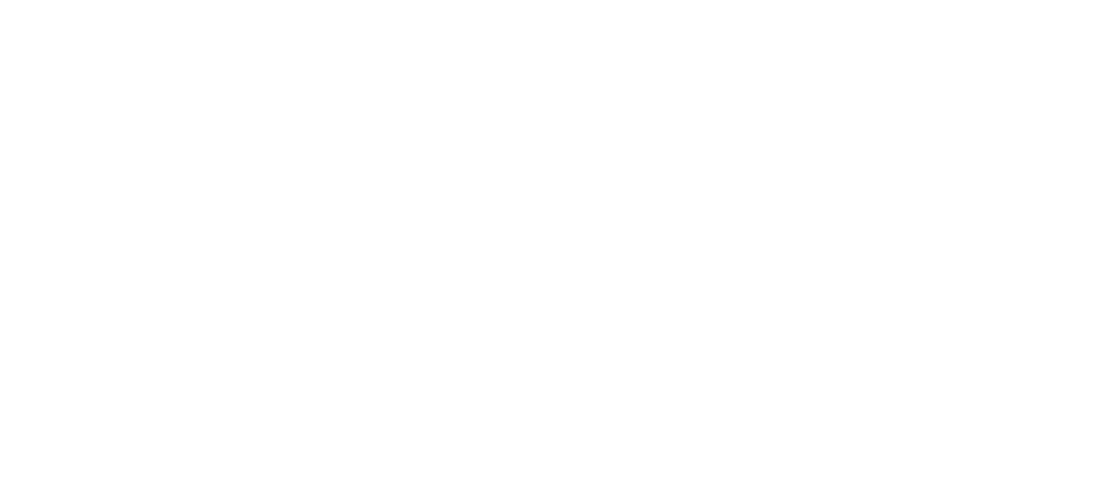 downtown madison logo